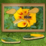 Găsiți și reparați: puzzle ascuns